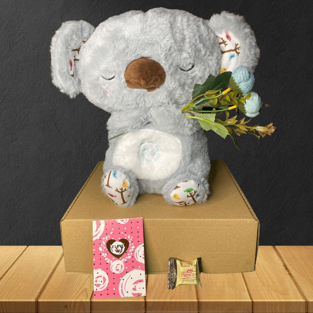 Box Peluche Koala Dormilon Plomo
